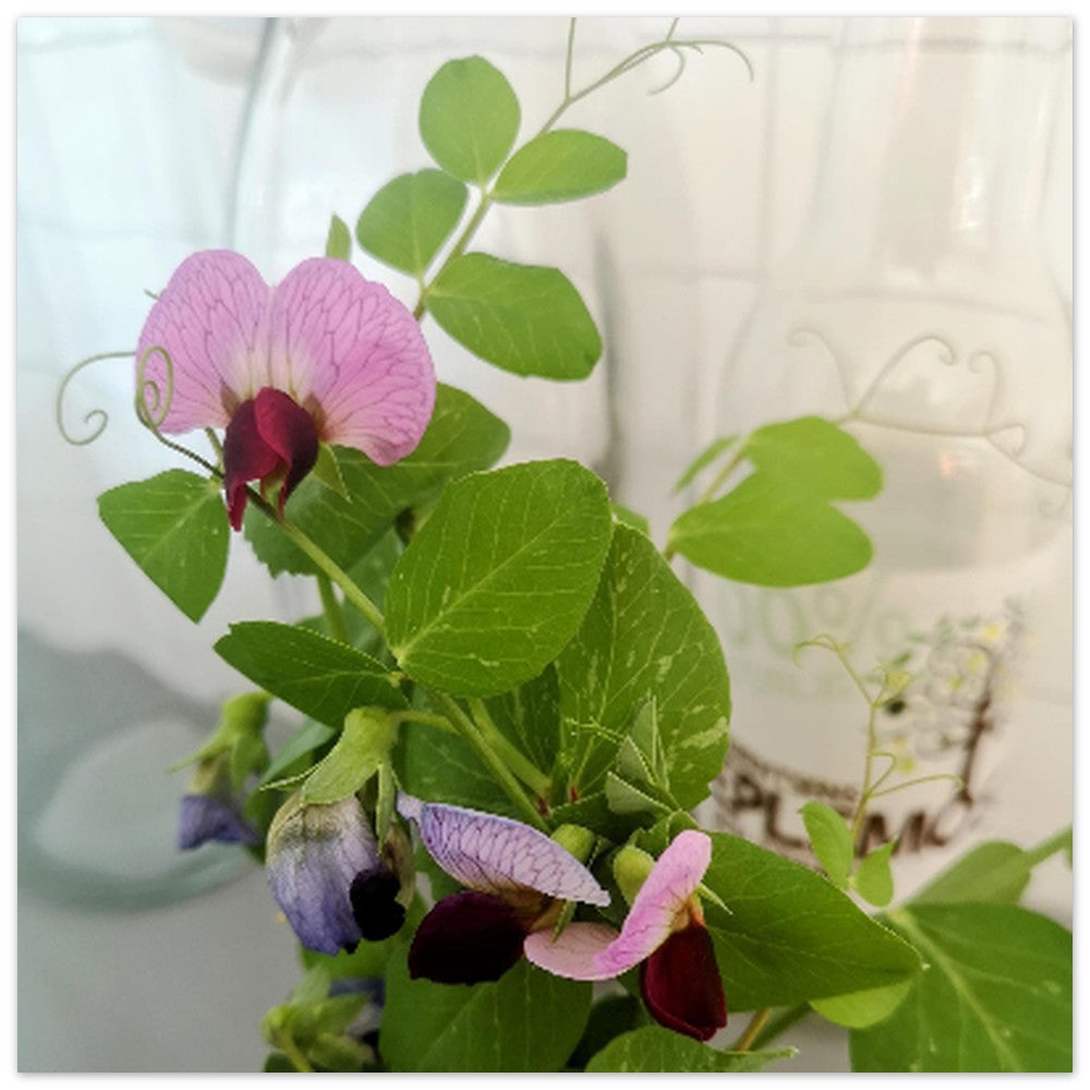 09db0580-64ea-4357-9da7-f5ea9b584d65