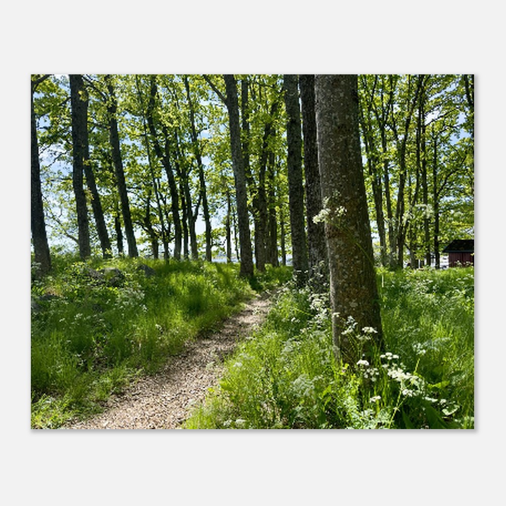 27bdaa50-bba5-447d-b819-68b737ac2ab8