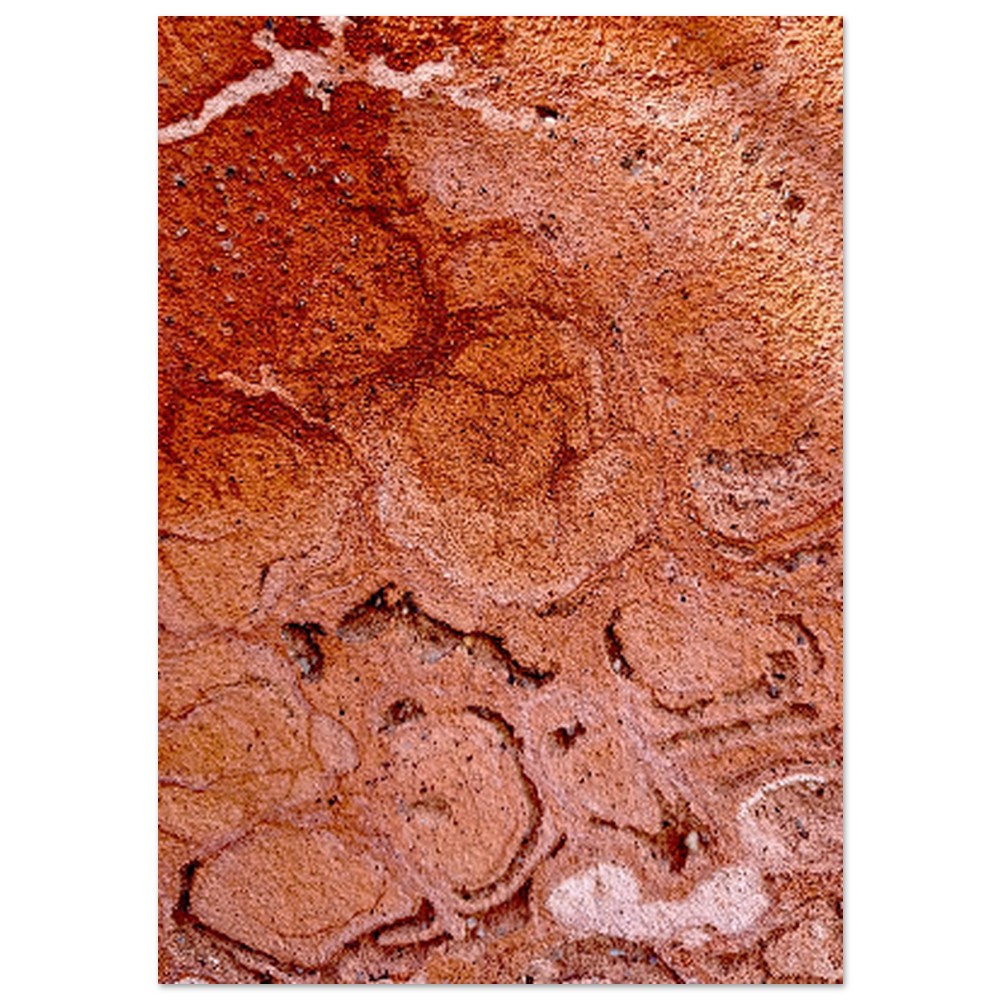 489f57a3-a4b2-483a-b11d-42d8f5e86780