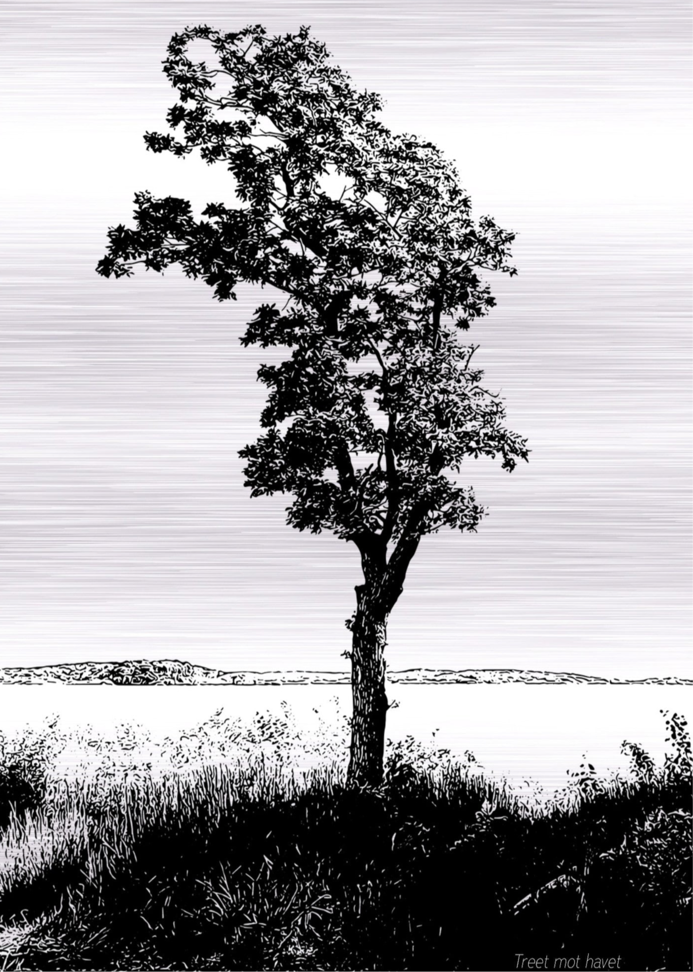Sort illustrasjon av «Treet mot havet» trykt på børstet aluminium. Av SGBlomquist