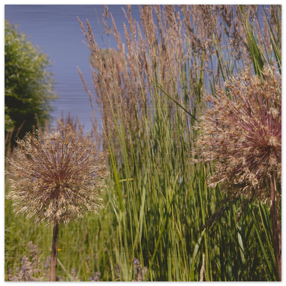 7dcf0be1-7a38-4499-8dda-934a4b8999c5