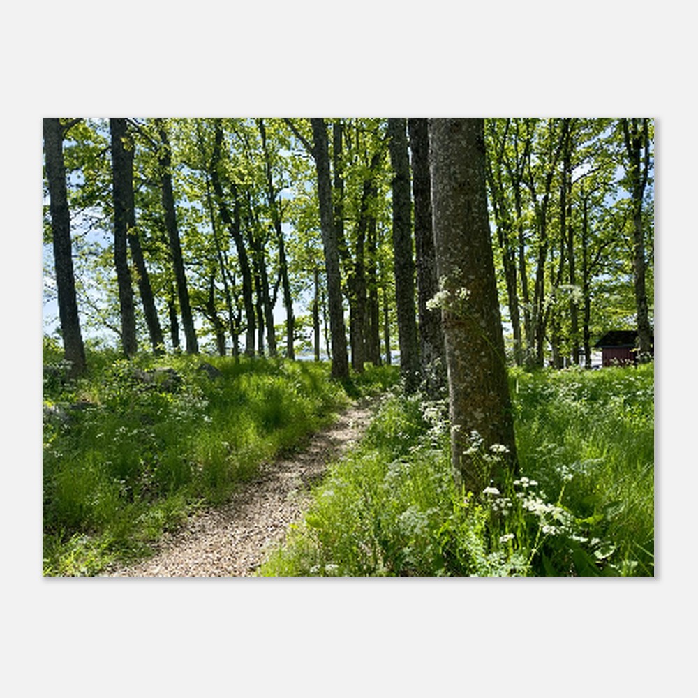 9038d029-eab6-448b-930f-496e51f29313