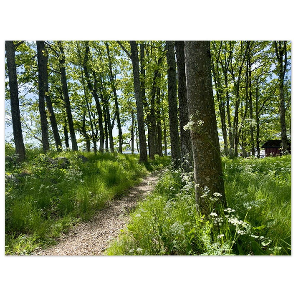 ab80eaef-2700-4998-a469-4ae15993d269