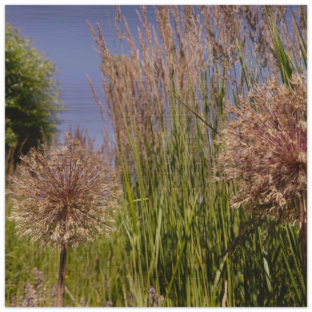 b99c1f17-ddf1-49fa-b22c-787cc2287874