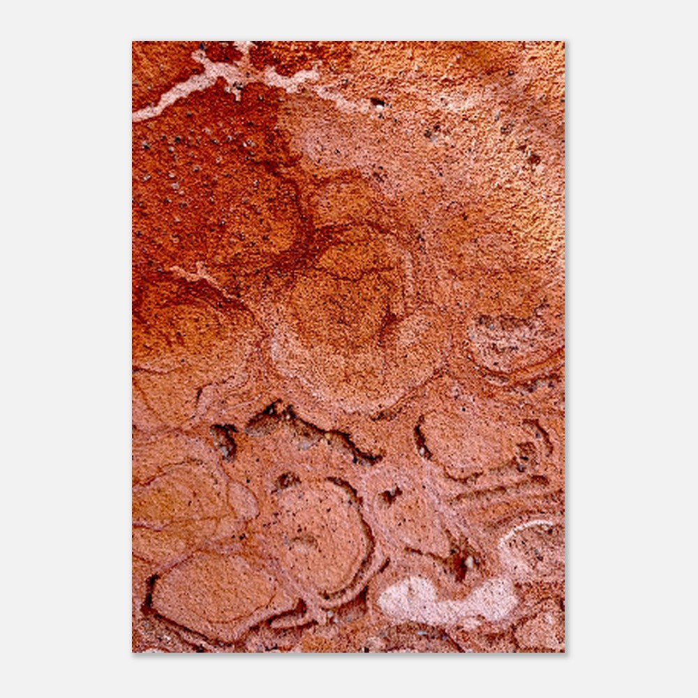 cc61c2c3-ff11-4f2c-9671-90bd04efc4af