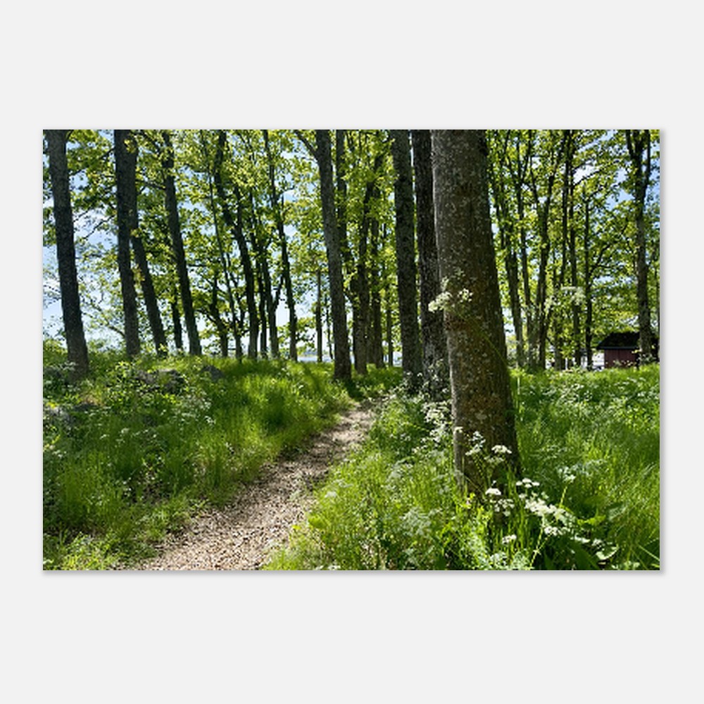 cd71b3f8-fe15-4a79-afa0-dd56476dba11