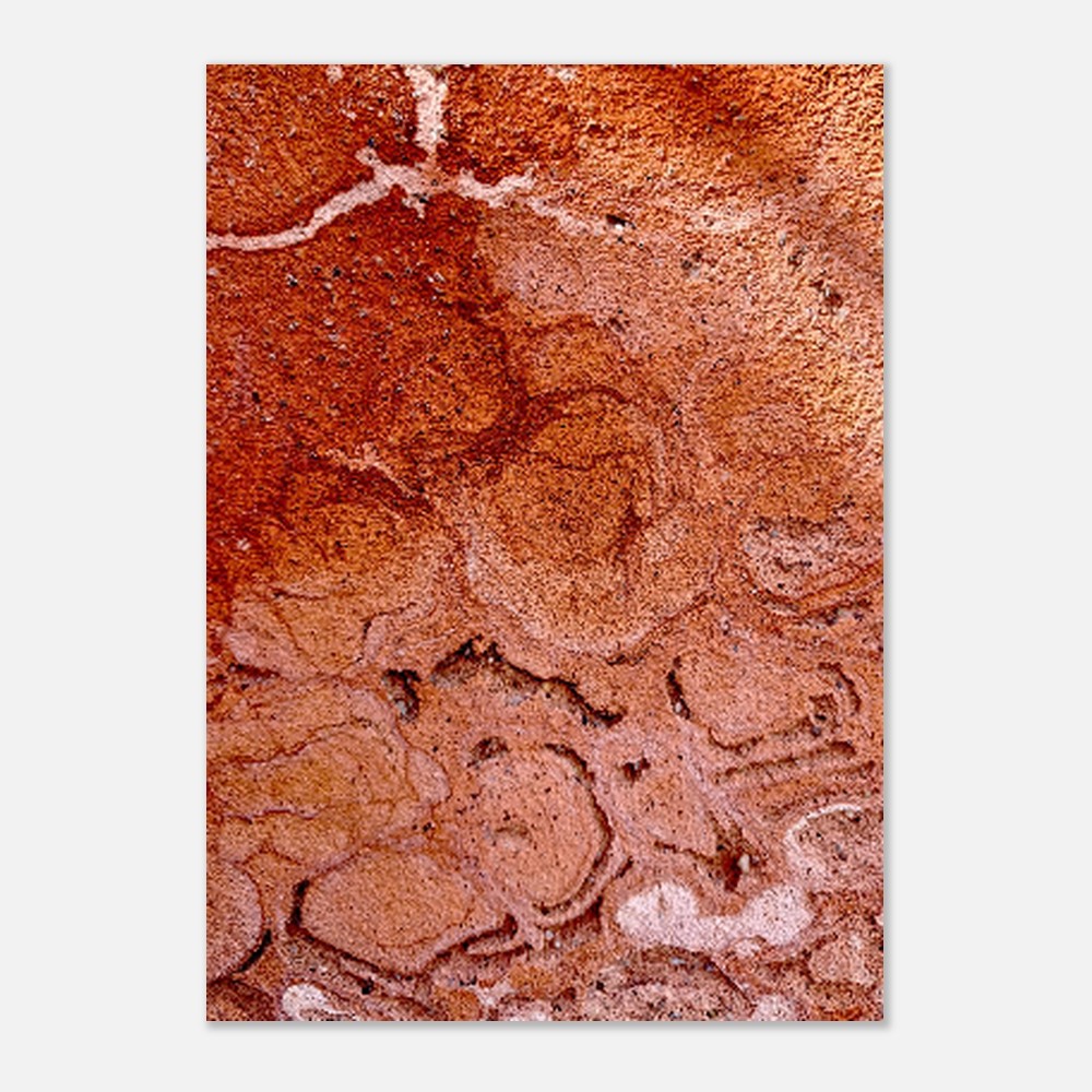 d2951061-05d3-4479-b6e5-a0c23d70659e