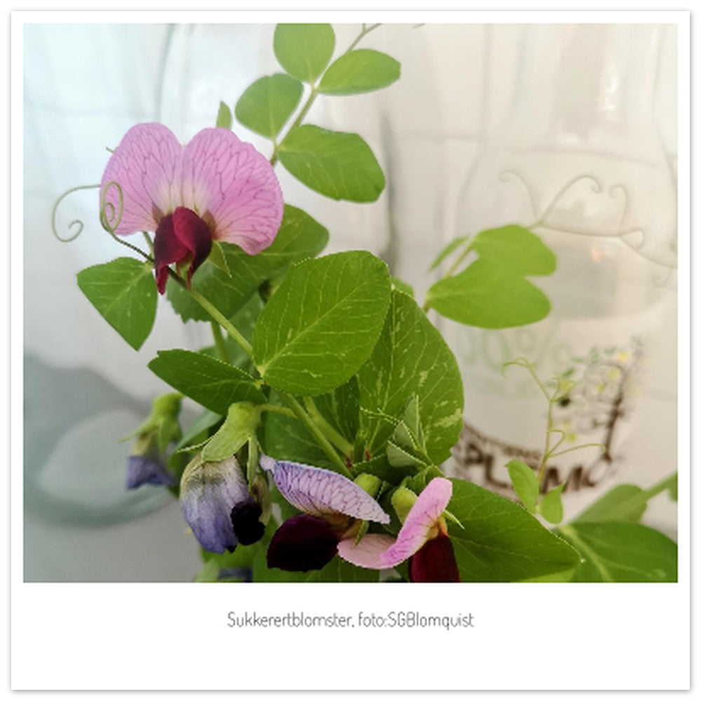 e1a5481e-fdf9-4f31-b9ea-18b88be90f87