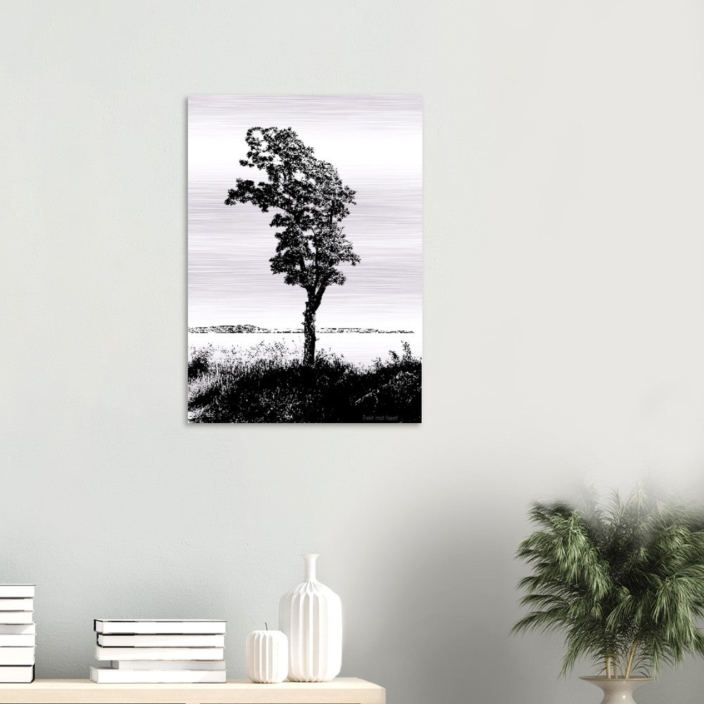 e8285645-9d9a-4ee2-87ef-b165cb954ed4